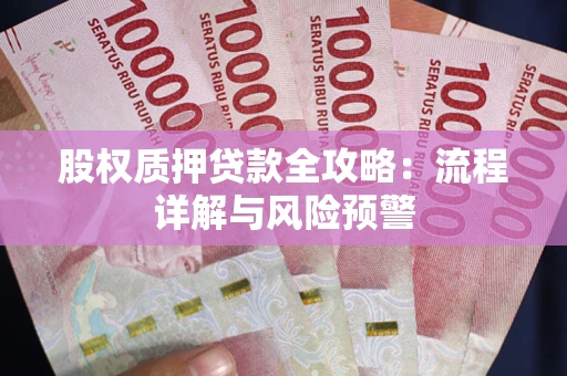 武汉股权质押贷款全攻略:流程详解与风险预警 武汉股权质押贷款全攻略:流程详解与风险预警