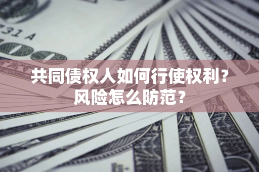 武汉共同债权人如何行使权利?风险怎么防范? 武汉共同债权人如何行使权利?风险怎么防范?