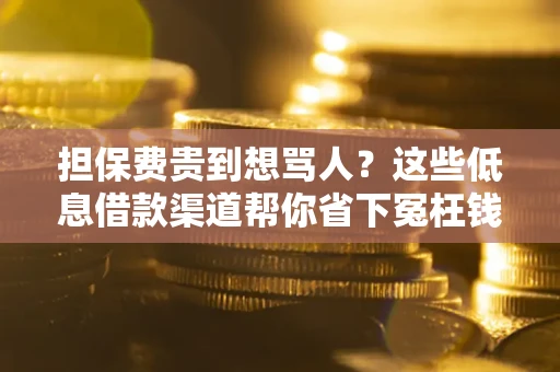 武汉担保费贵到想骂人?这些低息借款渠道帮你省下冤枉钱 武汉担保费贵到想骂人?这些低息借款渠道帮你省下冤枉钱
